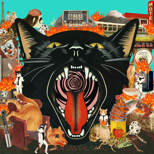 Fantastic Cat - Cat Out Of Hell (VINYL) |-