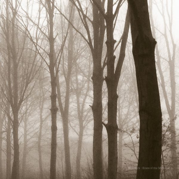 Blueneck - Scars Of The Midwest (CD) | Mint (M) Mint (M)-