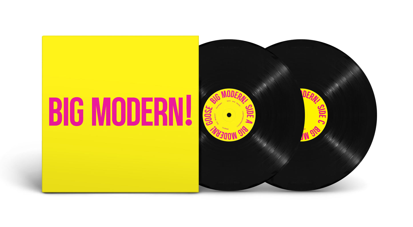 Goose - BIG MODERN! (2xVINYL) | Mint (M) Mint (M)-