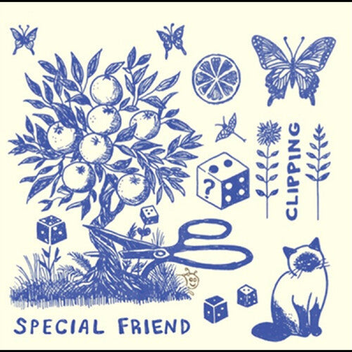 Special Friend - (PRESALE 8/14/26) Clipping (VINYL LP SKEPWAX LP-SKEP-041 2026) | NEW Mint (M) Mint (M)-