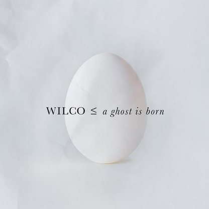 Wilco - A Ghost Is Born: 20th Anniversary (2xCD) | Mint (M) Mint (M)-