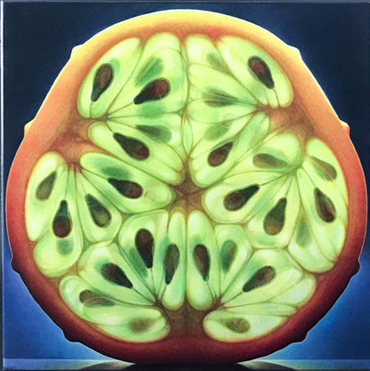 Vinyl Moon Volume 038: Sticky Fruit *SLEEVE ONLY* | Near Mint (NM)-