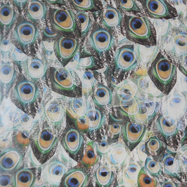 Camera Obscura - My Maudlin Career | Mint (M) Mint (M)-