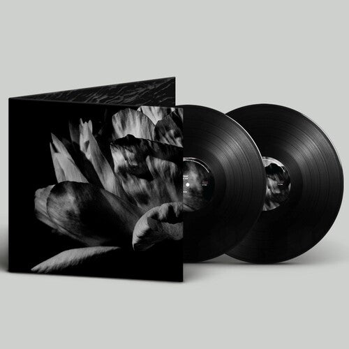 Louise Roam - La Ou Passe La Nuit (2xVINYL) | Mint (M) Mint (M)-