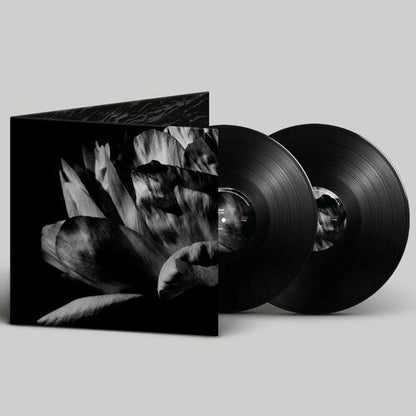 Louise Roam - La Ou Passe La Nuit (2xVINYL) | Mint (M) Mint (M)-