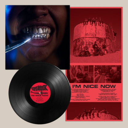 Upchuck - I'm Nice Now (VINYL) | Mint (M) Mint (M)-