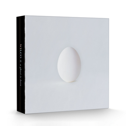Wilco - A Ghost Is Born: 20th Anniversary (DLX BOXSET) | Mint (M) Mint (M)-