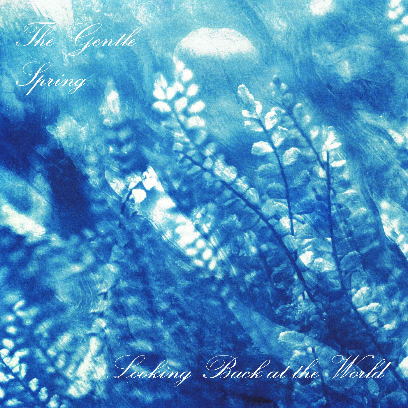 Gentle Spring, The - Looking Back At The World (INDIE EXCLUSIVE) (CD) |-