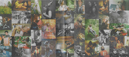 Big Thief - Dragon New Warm Mountain I Believe In You (CD) |-