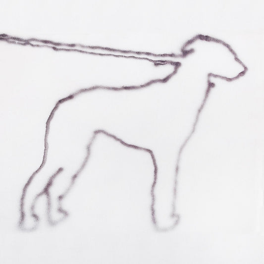 Yano, Jonah - portrait of a dog (CD) |-