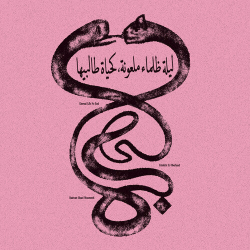 Radwan Ghazi Moumneh - Eternal Life No End (VINYL) | Mint (M) Mint (M)-