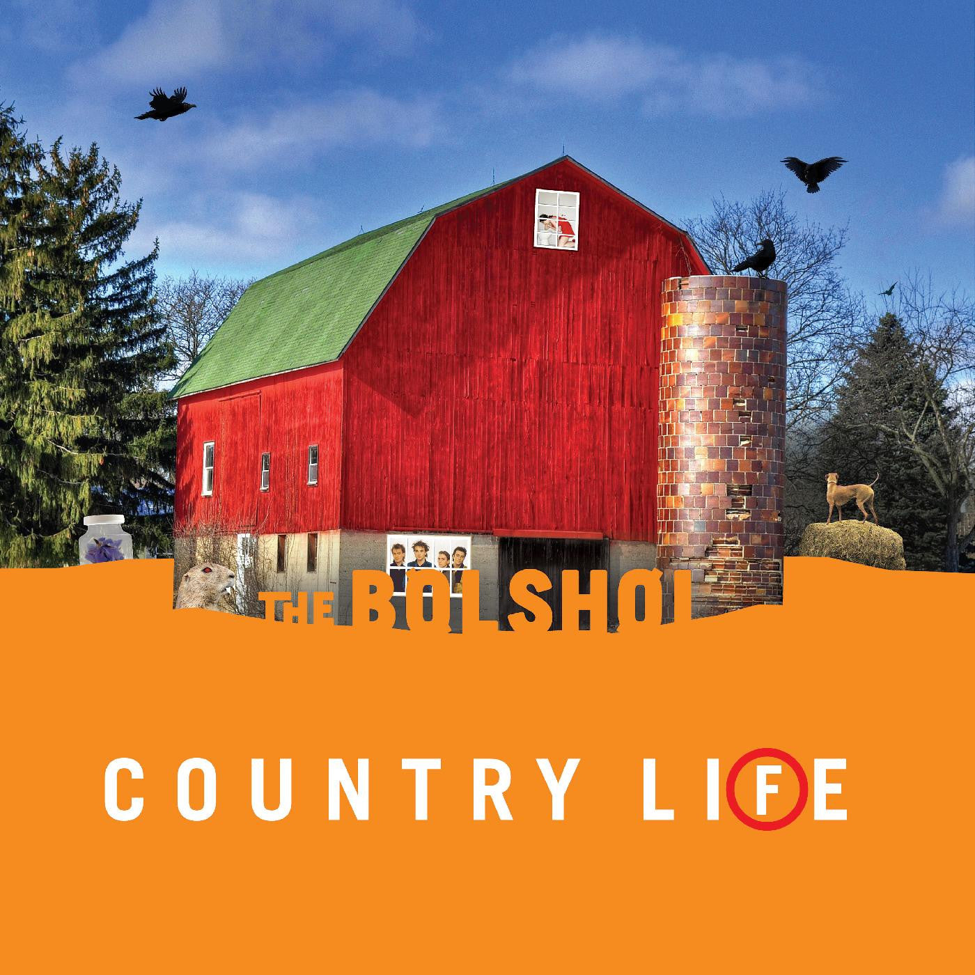 Bolshoi, The - Country Life (GREEN & ORANGE VINYL) |-