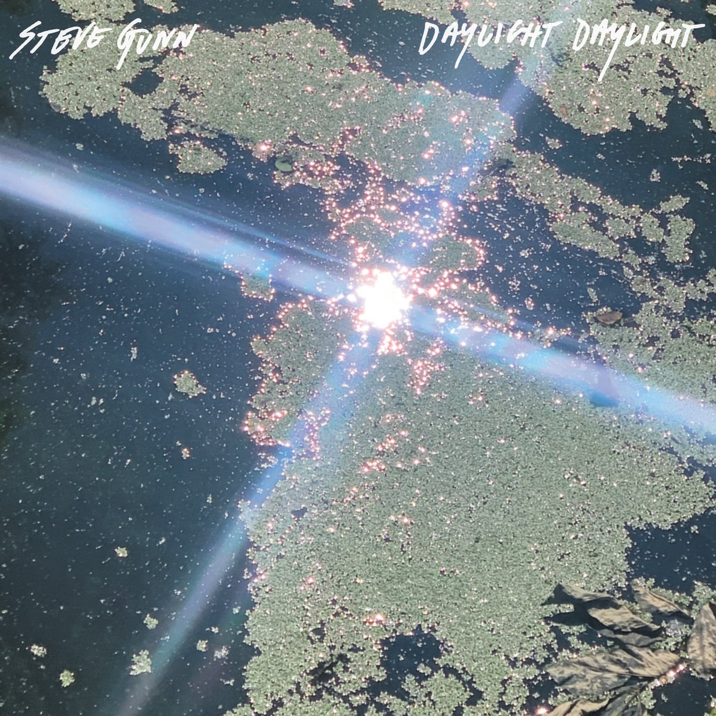 Steve Gunn - Daylight Daylight (VINYL) | Mint (M) Mint (M)-