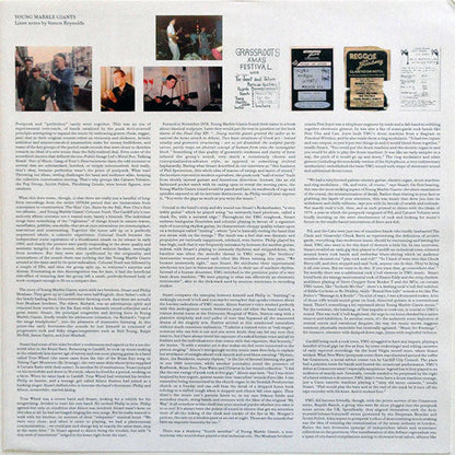 Young Marble Giants - Colossal Youth (VINYL) | Mint (M) Mint (M)-