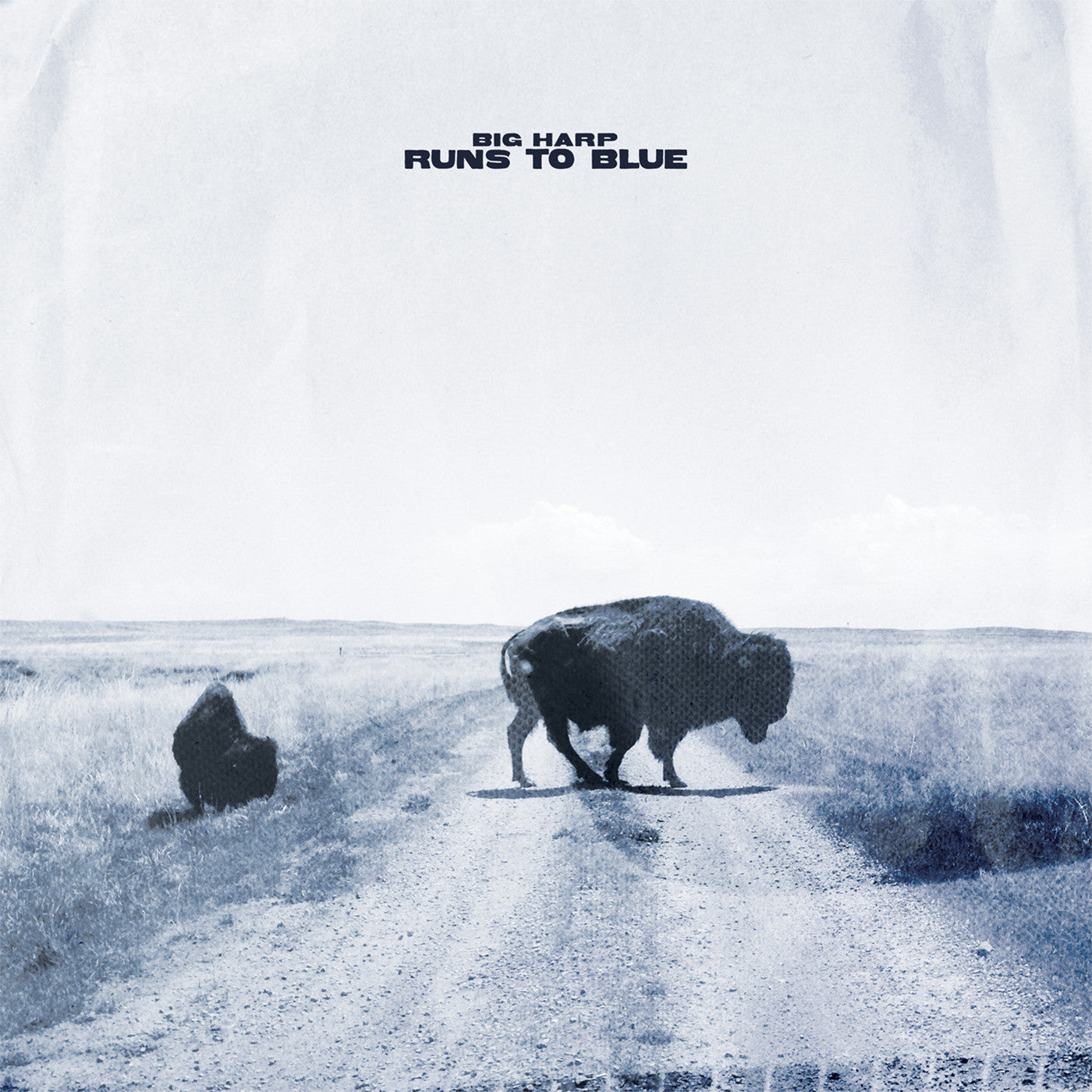 Big Harp - Runs to Blue (BLUE VINYL) | Mint (M) Mint (M)-