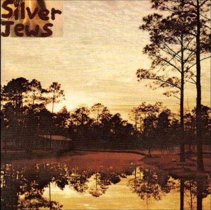 Silver Jews - Starlite Walker (VINYL) | Mint (M) Mint (M)-