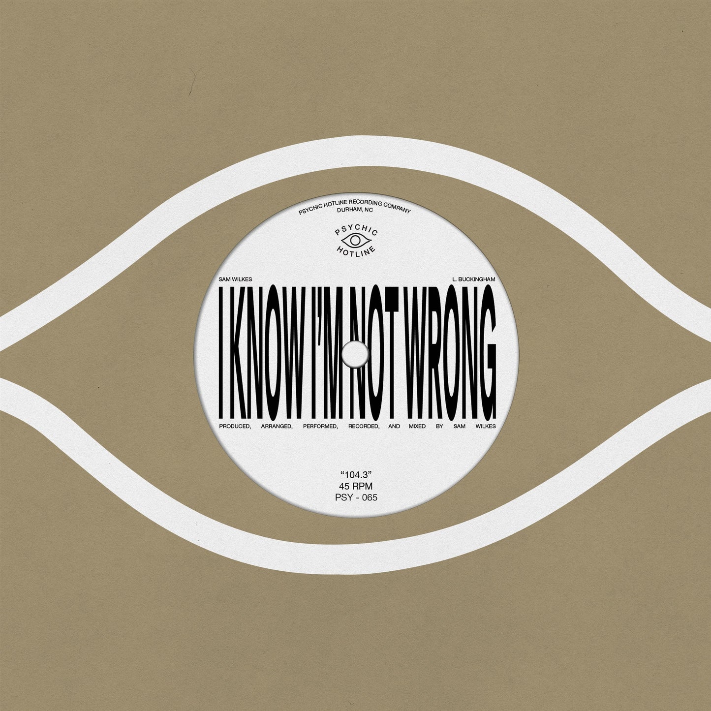 Sam Wilkes - 104.3 (VINYL 7") | Mint (M) Mint (M)-