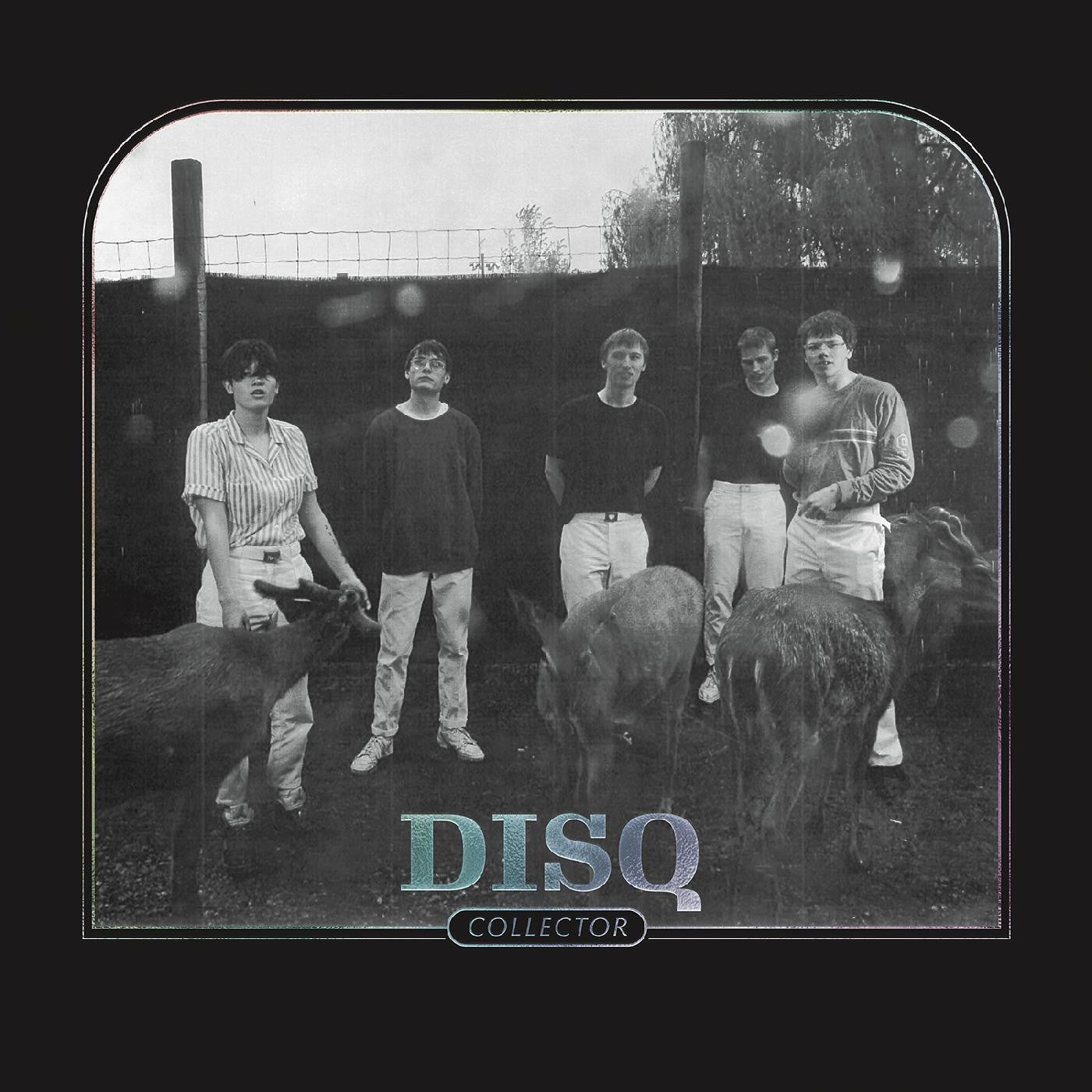 Disq - Collector (Vinyl) | Mint (M) Mint (M)-
