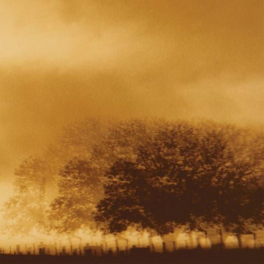 Infinite Light Ltd. - Infinite Light Ltd. (CD) | Mint (M) Mint (M)-