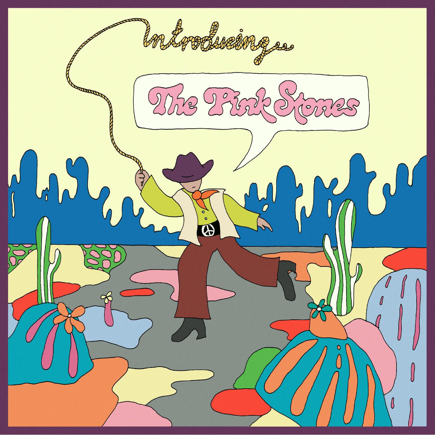 Pink Stones, The - Introducing...The Pink Stones (CD) | Mint Mint-