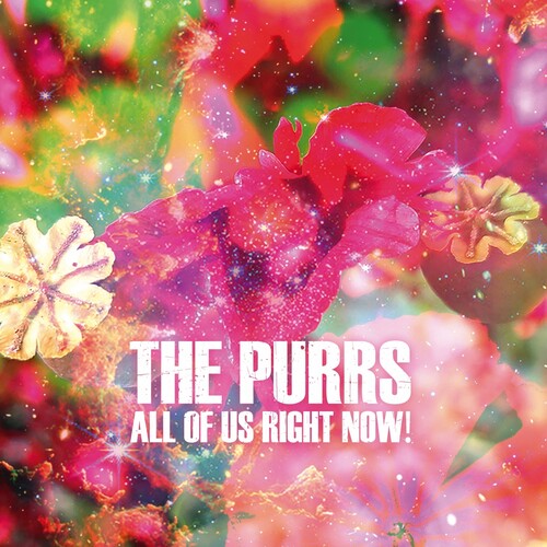 The Purrs - (PRESALE 5/22/26) All of Us Right Now! (VINYL) | Mint (M) Mint (M)-