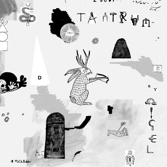 Nigel - Tantrum (Vinyl) | Mint (M) Mint (M)-