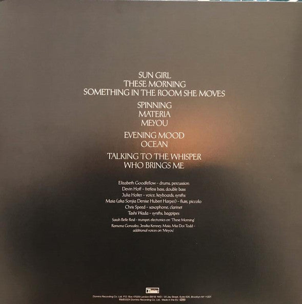 Julia Holter - Something In The Room She Moves (IEX: "CALDER" RED VINYL) | Mint (M) Mint (M)-