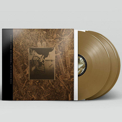 Pixies - Come On Pilgrim... It's Surfer Rosa: 30th Anniversary (GOLD VINYL) | Mint (M) Mint (M)-