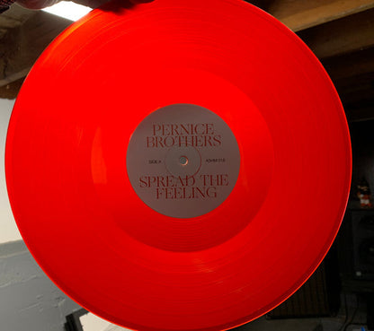 Pernice Brothers - Spread The Feeling (RED VINYL)*DISCOUNTED* | Mint (M) Mint (M)-