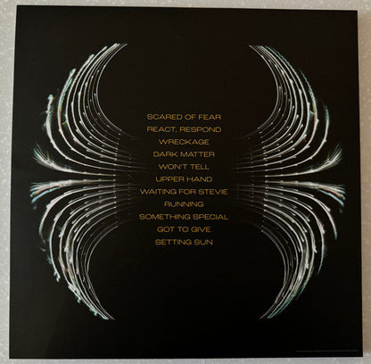 Pearl Jam - Dark Matter (YELLOW & BLACK GHOSTLY VINYL / RSD) | Mint (M) Mint (M)-