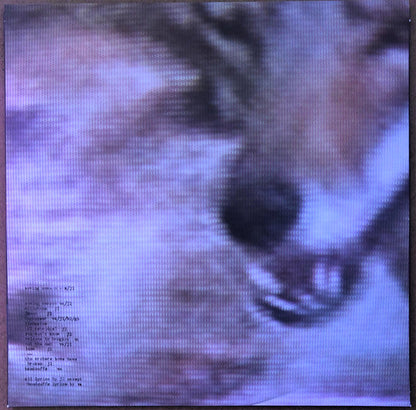 Brand New - The Devil And God Are Raging Inside Me | Mint (M) Mint (M)-