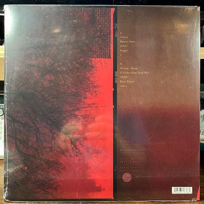 What Happens After (VINYL) | Mint (M) Mint (M)-
