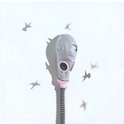Modest Mouse - Good News For People Who Love Bad News (2xVINYL) | Mint (M) Mint (M)-