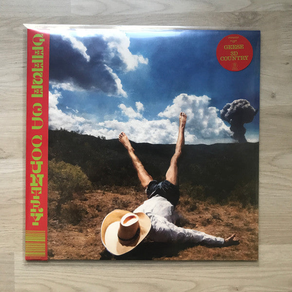 Geese (11) - 3D Country (VINYL) |-