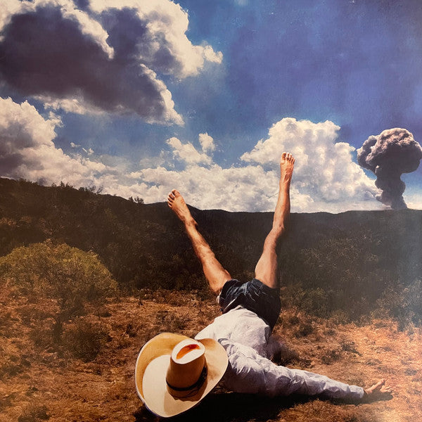 Geese (11) - 3D Country (VINYL) |-