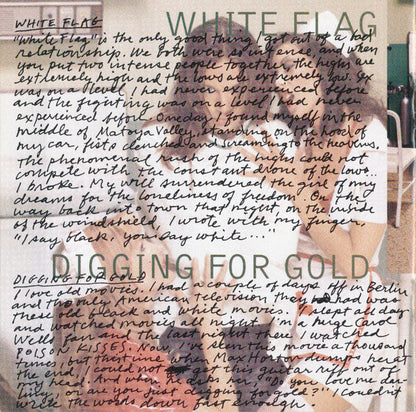 Chris Gaines - Greatest Hits / Garth Brooks In... The Life Of Chris Gaines (CD) | Mint (M) Mint (M)-