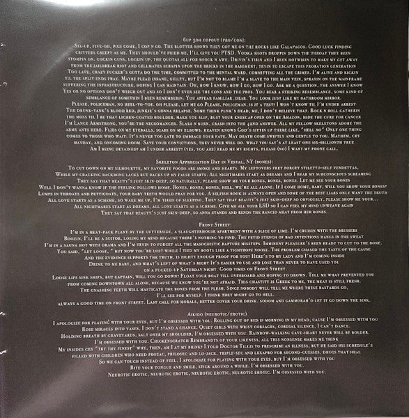 Everything is a Lot (2015 Mix VINYL) |-