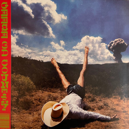 Geese (11) - 3D Country (VINYL) |-