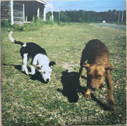Dogs On Acid (COLOR VINYL) | Mint (M) Mint (M)-