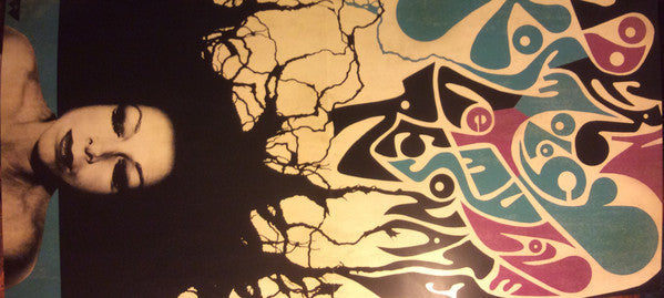 Modern Kosmology (180G DELUXE) | Mint (M) Near Mint (NM)-