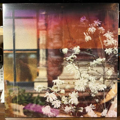 A Place You Grew Up In (VINYL) | Mint (M) Mint (M)-