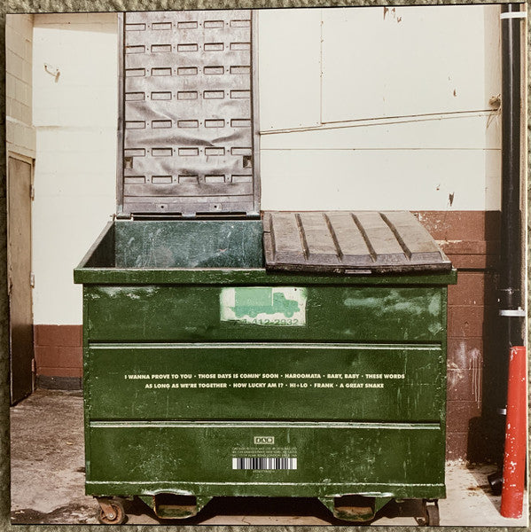 The Lemon Twigs - Do Hollywood (VINYL) | Mint (M) Mint (M)-