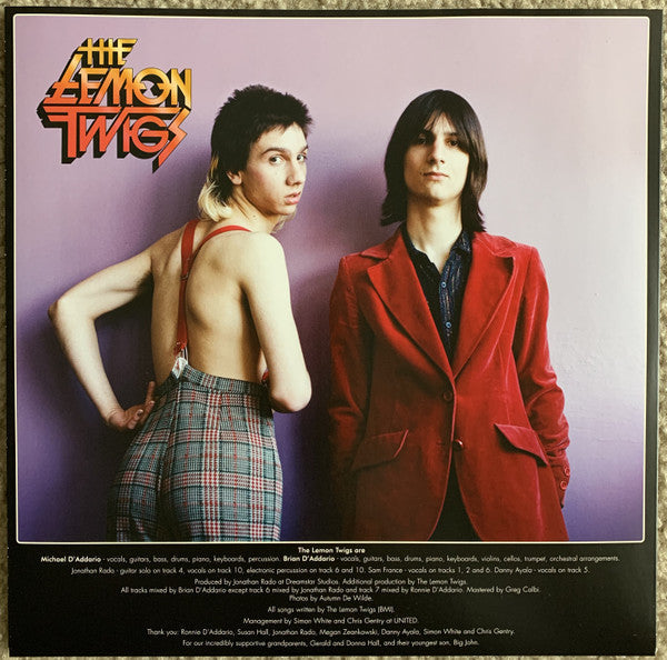 The Lemon Twigs - Do Hollywood (VINYL) | Mint (M) Mint (M)-