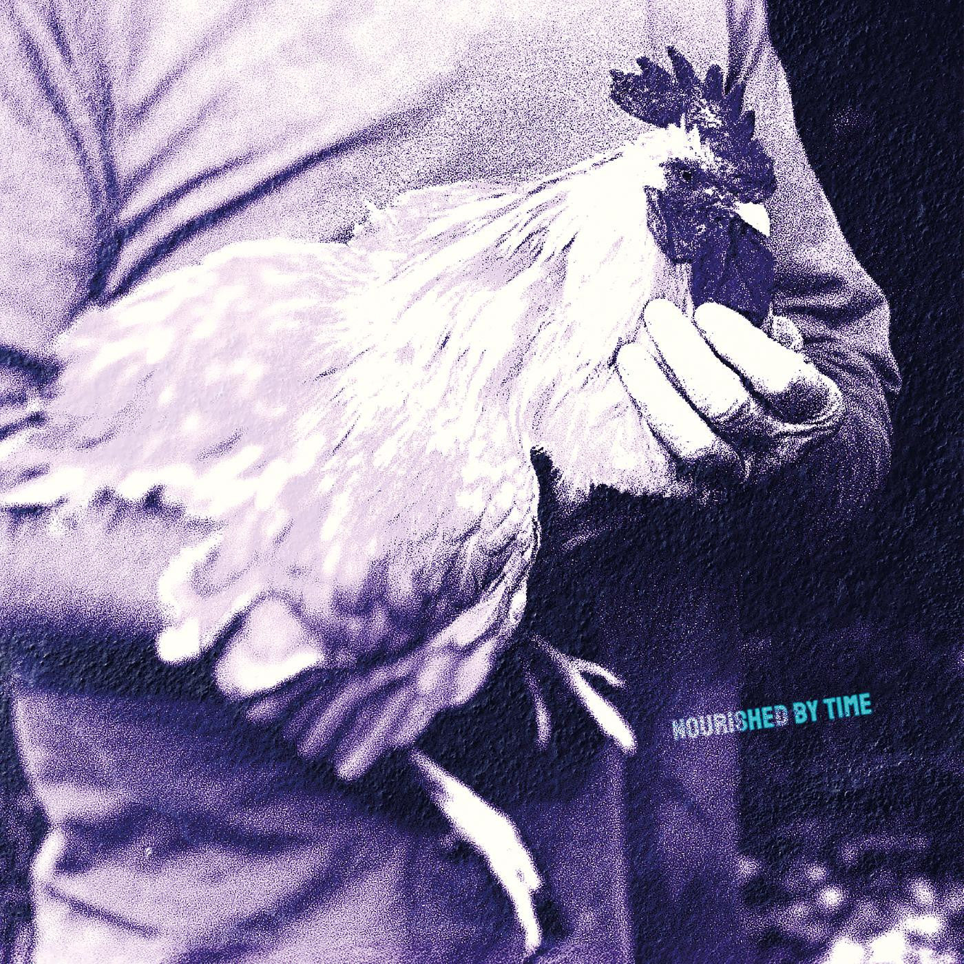 Nourished By Time - Catching Chickens | Mint (M) Mint (M)-