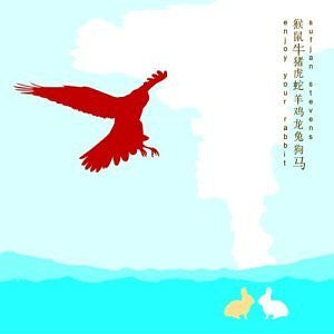 Sufjan Stevens - Enjoy Your Rabbit (2xVINYL) | Mint (M) Mint (M)-