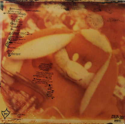 Modest Mouse - Sad Sappy Sucker (VINYL) | Mint (M) Mint (M)-