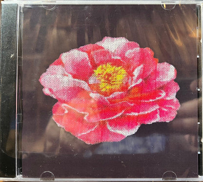 Post Malone - Nirvana Tribute (UNOFFICIAL CD) | Mint (M) Mint (M)-