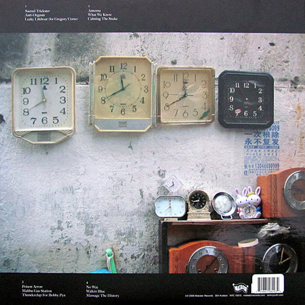 Sonic Youth - The Eternal (120 GRAM VINYL) | Mint (M) Mint (M)-