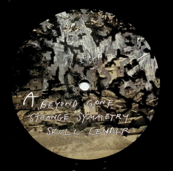 Past Lives - Strange Symmetry (VINYL) | Excellent (EX)-