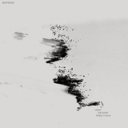 I Held The Shape While I Could (VINYL) | Near Mint (NM) Near Mint (NM)-